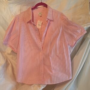 J. Crew Pink Striped Blouse